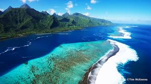 The islands of tahiti are a paradise of white sand, overwater bungalows and frangipanis, says hayley lewis. Accomodation In Tahiti