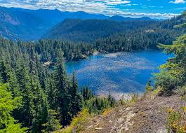 Kid friendly hikes near seattle. 15 Hike And Brewery Combinations Around Seattle Postcards To Seattle