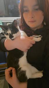 Hi anyone lost a cat black and white. Followed my daughters home fae  abbeyveiw park got a pink collar on.