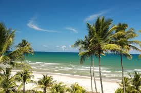 Das wetter in san miguelito. Paraiso Verde