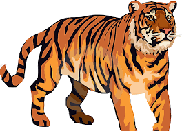 You can also click related recommendations to view more. Tiger Clipart Png Download Full Size Clipart 5456986 Pinclipart