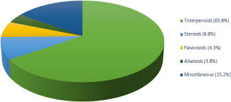 Image result for Caloncoba crepiniana