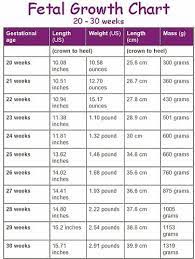 Maybe you would like to learn more about one of these? Berat Janin 700 Gram Di Usia Kehamilan 6 Bulan Tanya Alodokter