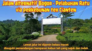 Check spelling or type a new query. Jalur Alternatif Bogor Pelabuhan Ratu Via Perkebunan Teh Cianten Leuwiliang Youtube