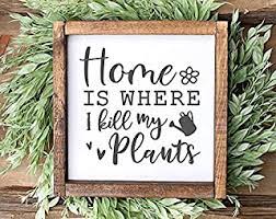2 a dried plant is nothing but a. Amazon Com Gardening Quotes Decorative Accessories Home Decor Accents Home Kitchen