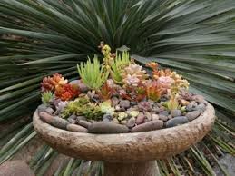 Lassen sie ihre fantasie frei und dekorieren sie den baumstamm in verschiedenen variationen. 35 Wundervolle Deko Ideen Fur Den Garten Mit Sukkulenten Sukkulenten Pflanzen Sukkulenten Garten Ideen