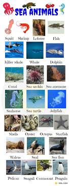 Sea Animals Water Ocean Sea Animal Names With Images 7 E S L Sea Animals Images Animals Name In English Sea Animals