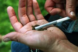 Whatsapp images for dp is the first thing which people sees after saving your number. 74 771 Ganja Stock Photos Free Royalty Free Ganja Images Depositphotos