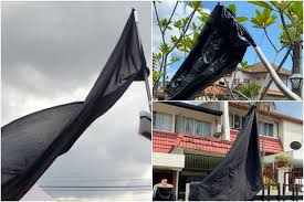 Bendera hitam putih kena kecam. Kibarkan Bendera Hitam Warga Malaysia Lawan Pemerintah Yang Tak Becus Urus Covid 19