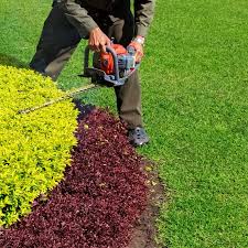 Every lawn is different, and to get the most benefits from your lawn, a range of services may be required to rectify your lawn problems. Lawn Care Services Jcm Lawn Care Of Wake Forest Call Now