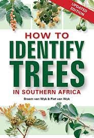 Trees exist in a huge variety across the world, but not all trees exist in knowing their names and how to identify them is a sign of both respect and appreciation. How To Identify Trees In Southern Africa English Edition Ebook Wyk Braam Van Wyk Piet Van Amazon De Kindle Shop