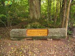 Der itzenplitzer pingen pfad ist der längste der drei redener bergbaupfade und verläuft entlang des itzenplitzer weihers durch die wälder des naherholungsgebietes. Naturerlebnisweg
