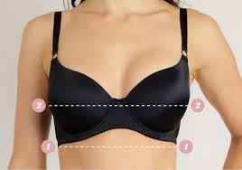 bra size calculator pick the right size bra