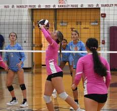 Image result for Deverra burchellii