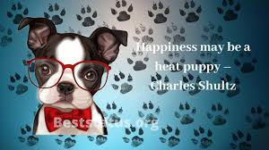 Those celebrating can mark the day by sharing quotes and. Happy National Dog Day Quotes Status Message Images