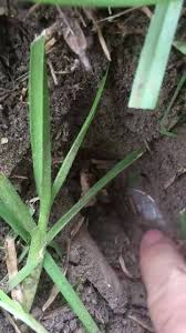 If there have been people there in the past, you will find things originally answered: South Mississippi Metal Detecting Smmd Home Facebook