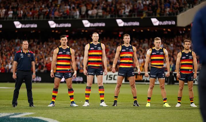 images?q=tbn:ANd9GcSFc4CALbqvea1YH1dXEsG