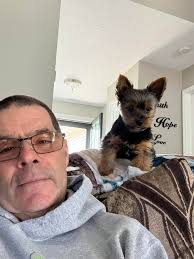 Meet Thor my 6 year old 🐾❤️🐾