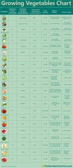 Growing Vegetables Chart Health Beauty Tips