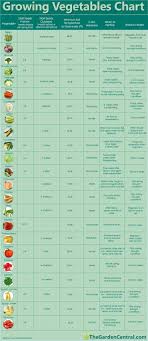 growing vegetables chart health beauty tips