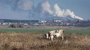 Its administrative center is the city of voronezh. Voronezhskaya Oblast Zanyala 51 E Mesto Nacionalnogo Ekorejtinga Poslednie Svezhie Novosti Voronezha I Oblasti Ria Voronezh