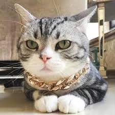 Buy collars, leashes, food & more pet supplies. Cuban Link Thick Golden Chain Dog Cat Pets Safety Collar Walmart Com Walmart Com