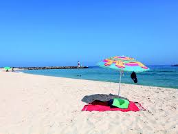 Discover ilha deserta, the only desert island in the algarve, portugal | book your ferry & boat tours through ria formosa natural. Praia Da Ilha Deserta Atraccoes Lisboa