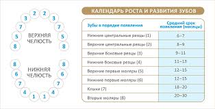что должен уметь ребенок в 3 года 4 месяца Chto Umeet Malysh V 9 Mesyacev Stati O Detskom Pitanii Ot Pediatrov I Ekspertov Mamako