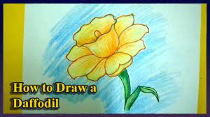 Also, throw some flowers around the text. How To Draw A Daffodils Step By Step Youtube