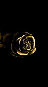 Free wallpapers and tutorials at noealz.com #cottoncandy #seoul #southkorea #aesthetics #pink #asia #bts #rose #photography #infraredphotography #infrared. Black And Gold Wallpaper Aesthetic