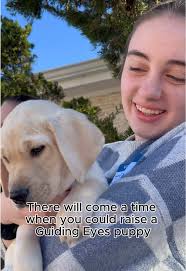 Puppy raisers are the heart and soul behind every Guiding Eyes guide dog 💙  Their dedication to raising, loving, and caring for a puppy creates a  life-changing gift for someone who is blind or visually ...