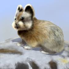 12 Rare Animals That Are Teetering On The Brink Of Extinction Rare Animals Animals Interesting Animals