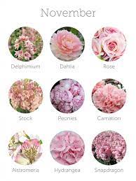 Maybe you would like to learn more about one of these? Wedding Budget Tip 16 Choose In Season Flowers Seasonal Flowers Wedding Flowers Gypsophila Fall Wedding Flowers