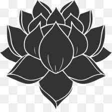 Check spelling or type a new query. Lotus Flower