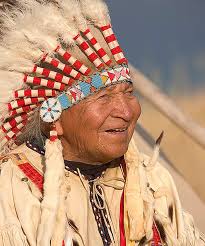 David William Beautiful Bald Eagle