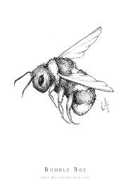 Learn how to draw bumblebee insect pictures using these outlines or print just for coloring. Inktober Flower Drawings 2019 Blushed Design Bee Illustration Bumble Bee Illustration Illustration Art Drawing