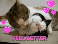 After watching these4th of july 2021 fireworks gif, images, photos of wishes you have to close your eyes and then see the miracle. Feel Better Gifs Get The Best Gif On Gifer