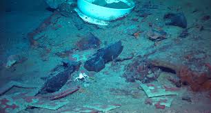 still human remains in titanic wreckage