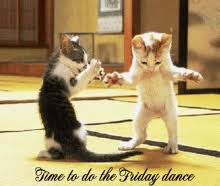 Happy Friday Cat Gifs Tenor