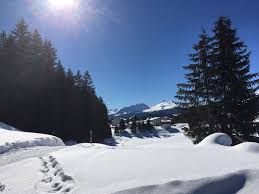 See 316 traveler reviews, 195 candid photos, and great deals for valbella resort, ranked #1 of 5 hotels in valbella and rated. Langlaufen Lenzerheide Valbella Fastatsch Lenzerheide 7km Bergwelten