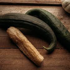 Image result for Luffa