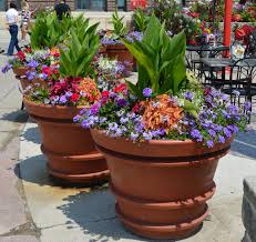 10 Large Container Gardening Ideas Most Awesome And Stunning Container Flowers Container Plants Full Sun Container Plants