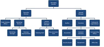 43 Skillful Co Director Org Chart