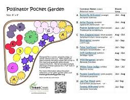 Image Result For Pollinator Pocket Garden Pocket Garden Pollinator Garden Pollinator Garden Design