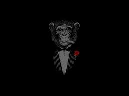 Monkey Black Rose 1080p 2k 4k 5k Hd Wallpapers Free Download Wallpaper Flare Rgb | 4k | wallpapers запись закреплена. monkey black rose 1080p 2k 4k 5k hd
