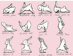 Rabbit Yoga Poses Bunny Yoga Yoga For Kids How To Do Yoga