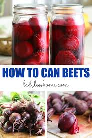 Check spelling or type a new query. The Ultimate Guide To Canning Beets Lady Lee S Home