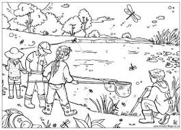 Minibeast Colouring Pages Summer Coloring Pages Coloring Pages Colouring Pages