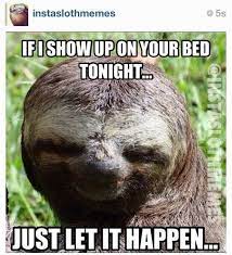Bri Hahahah Really Funny Memes Creepy Sloth Sloth