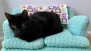 There are 105 crochet cat sofa for sale on etsy, and they cost $71.27 on average. How To Crochet A Tiny Couch For Your Cat Simplemost